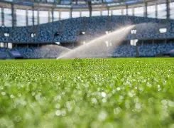 电讯报爆猛,水晶宫瞄准,强援约翰逊,爱游戏体育,Aiyouxi,Sports,爱游戏体育官网,爱游戏体育官网,爱游戏体育下载