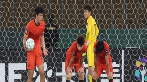 12月1日CBA常规赛：深圳VS辽宁，赵继伟亮点集锦